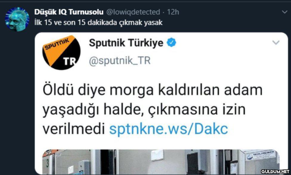 Düşük IQ Turnusolu...