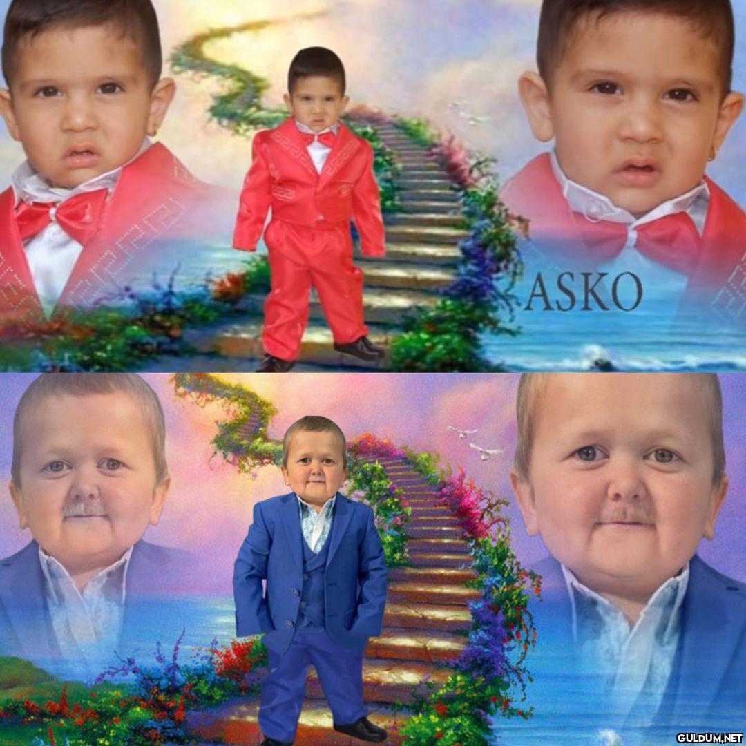 Aşkomuza rakip geldi 🐡 ...