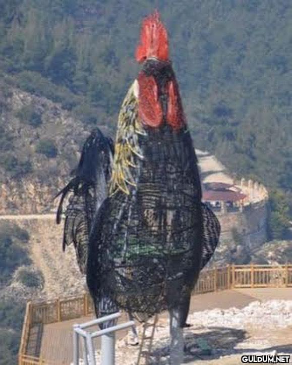 Ülkemizden bazı heykel...