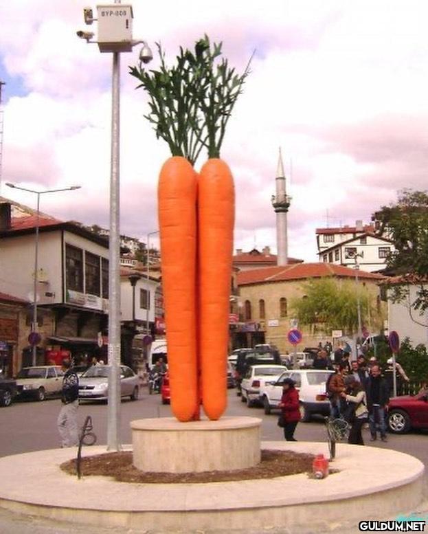 Ülkemizden bazı heykel...