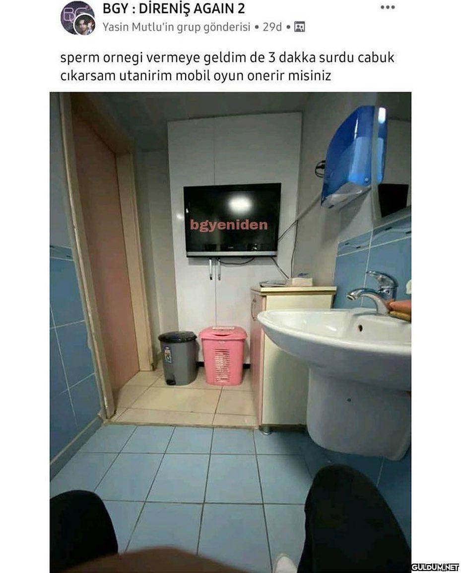 ŞDKTLAĞCLRMWPFŞEKEPDLEMWDPT...