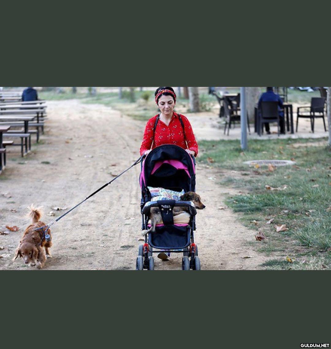 Ayakta Alkışladım...