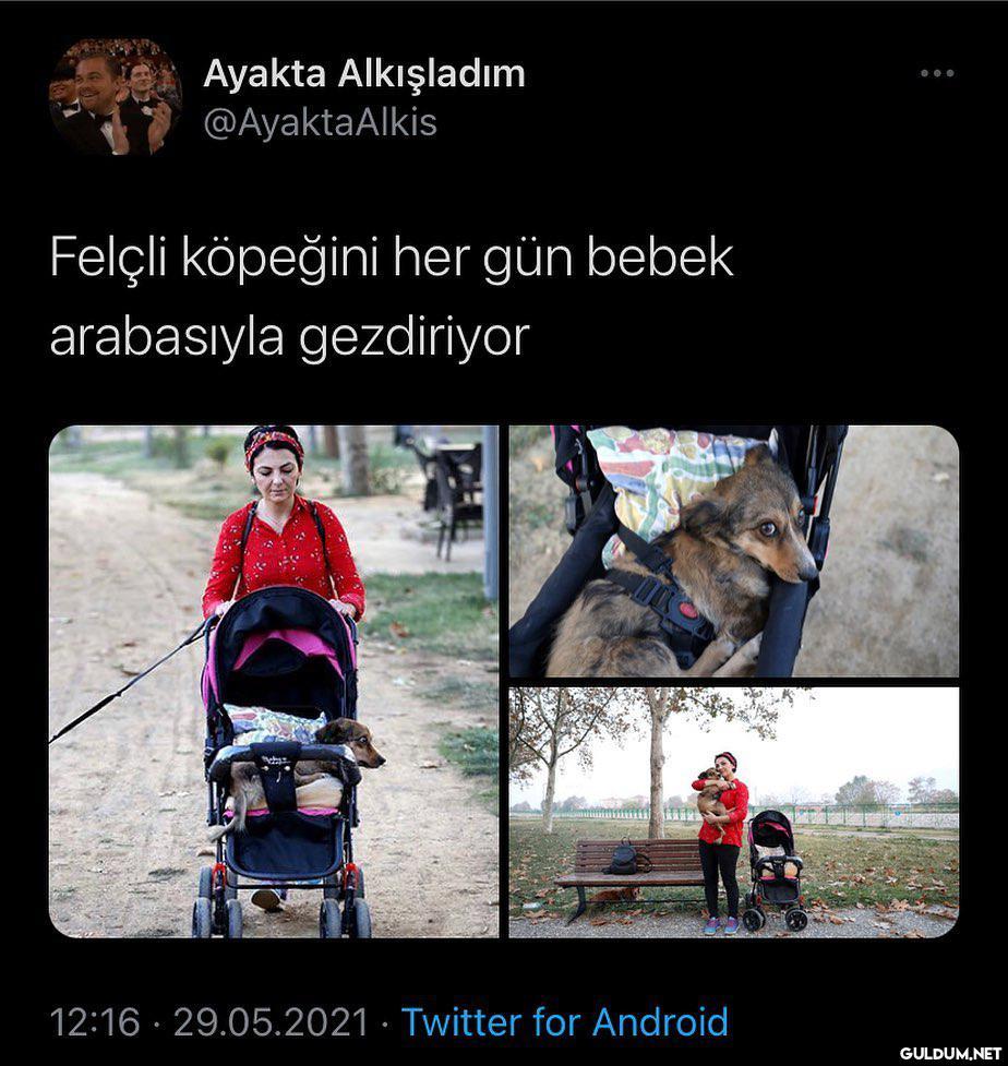 Ayakta Alkışladım...