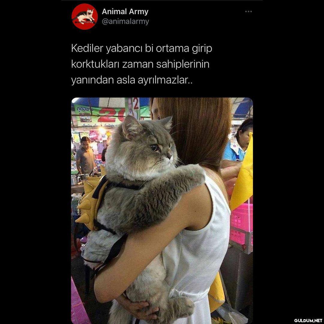 evde hep bi artistlik ama ...