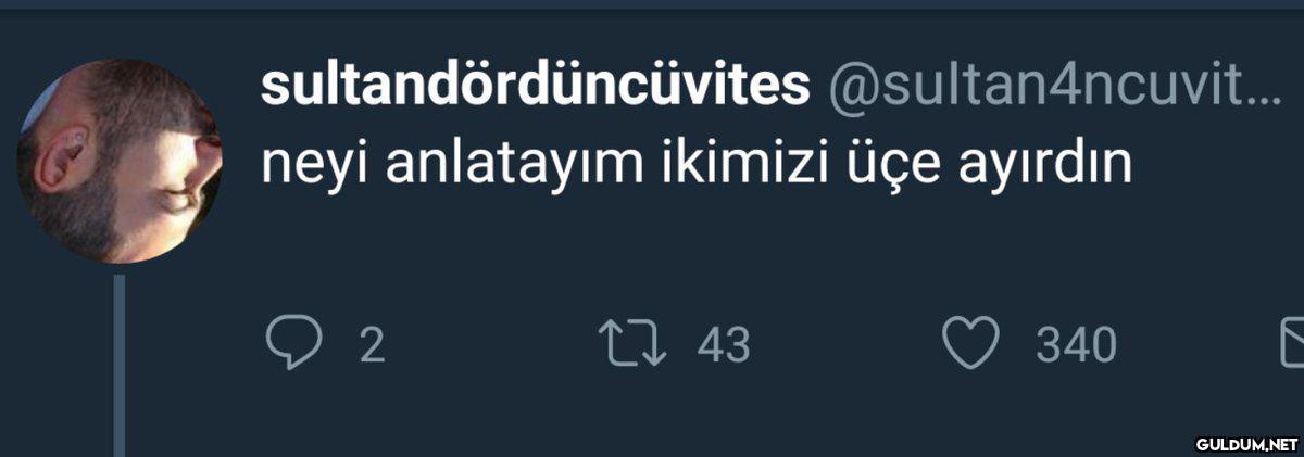 sultandördüncüvites...