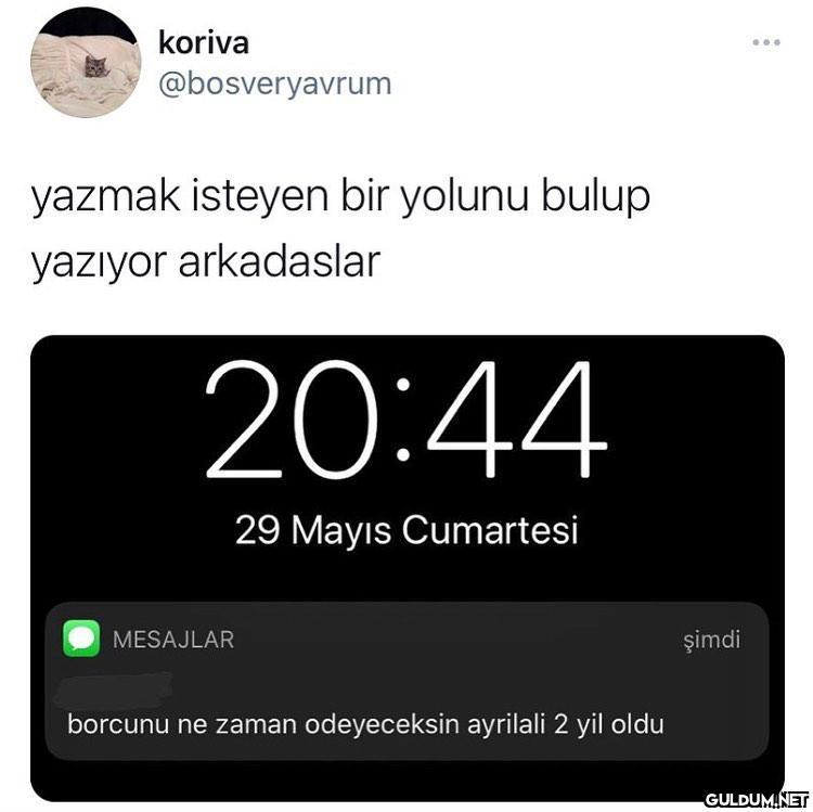 koriva ... @bosveryavrum...