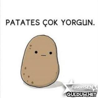 PATATES ÇOK YORGUN....