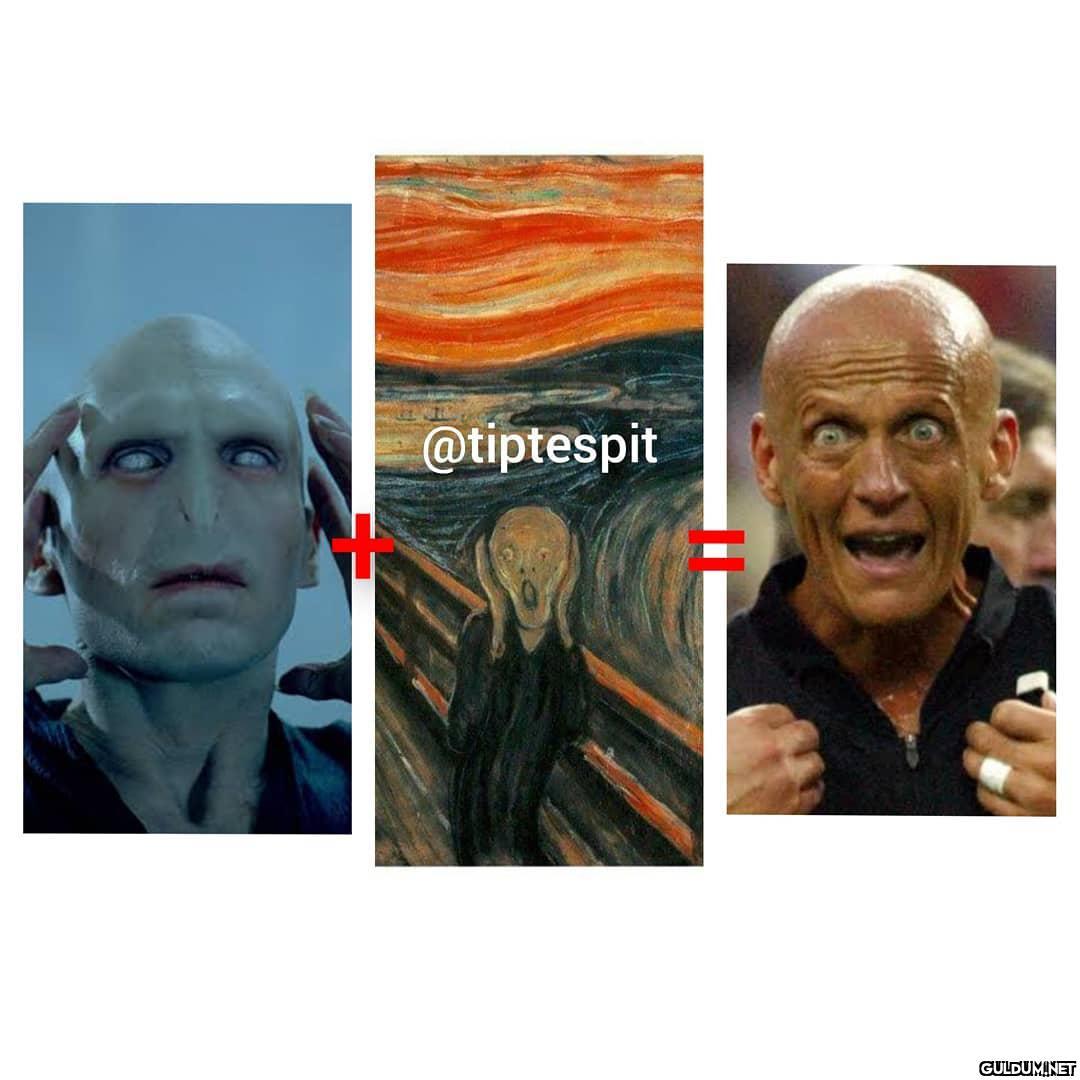 Lord Voldemort (Harry...