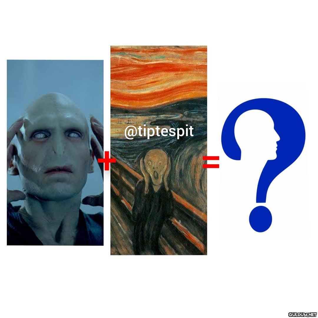 Lord Voldemort (Harry...