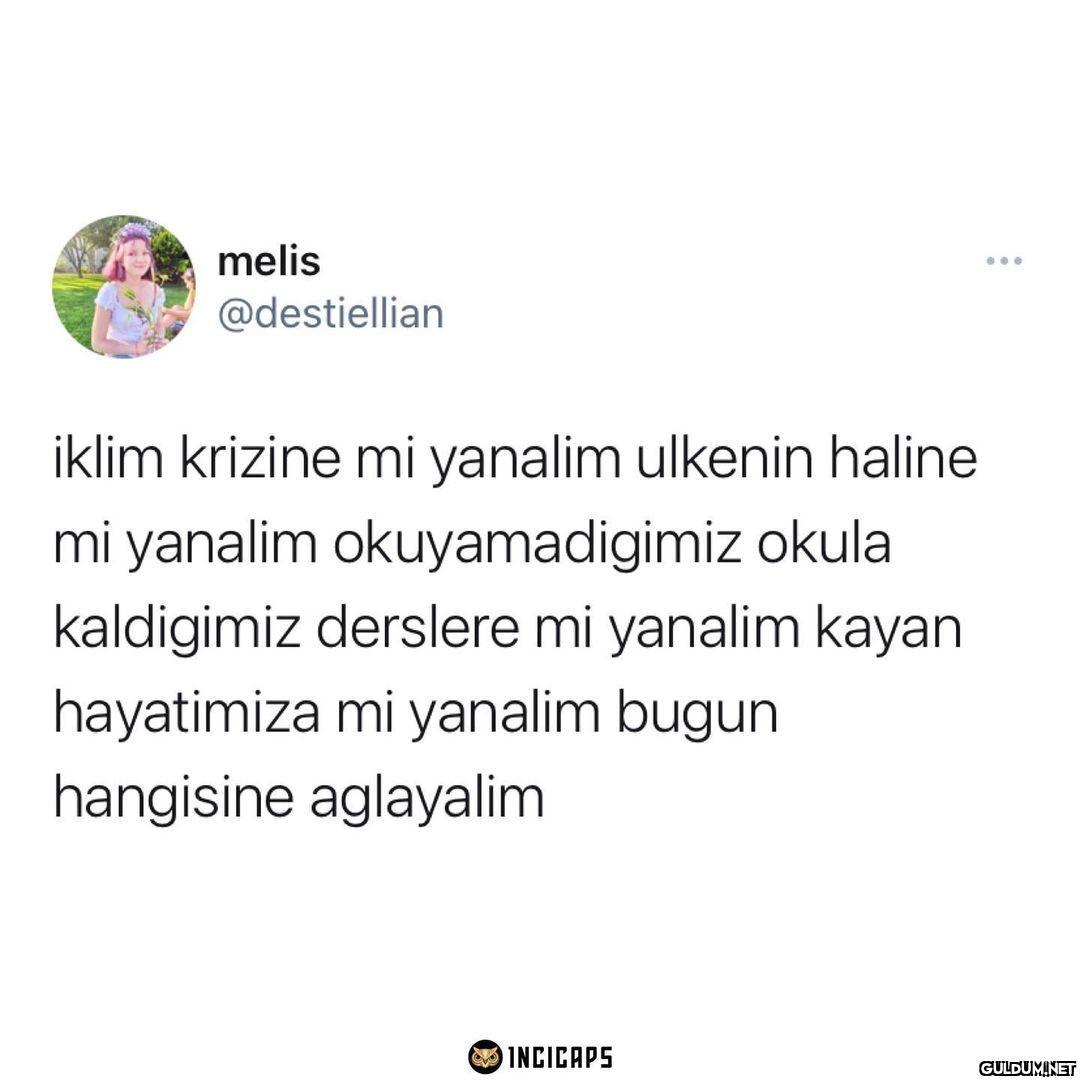 melis ... @destiellian...