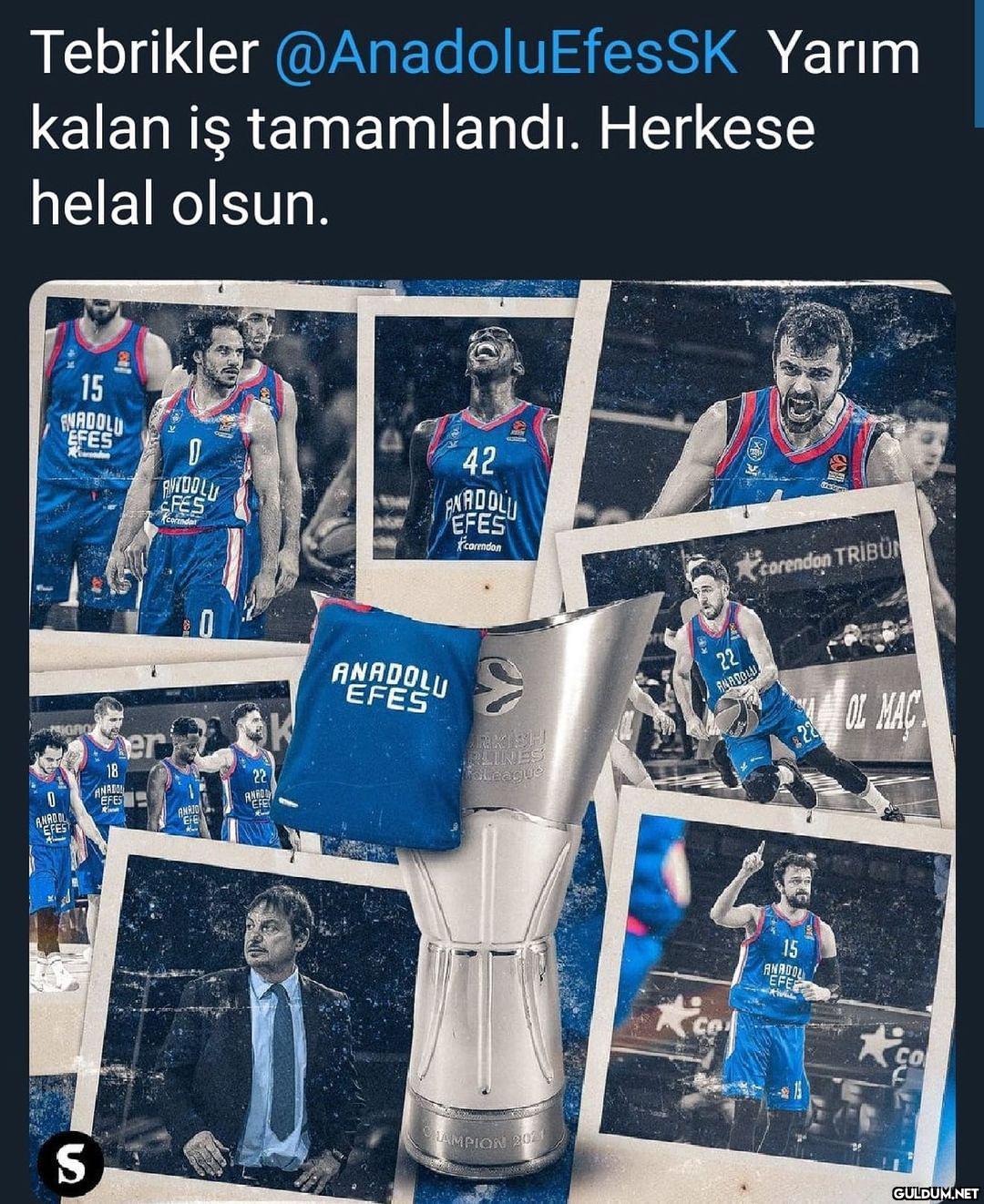 Anadolu Efes Avrupa...