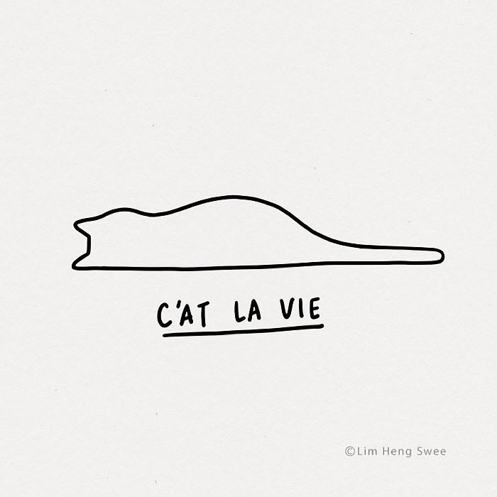 Cat is love. Cat is life....