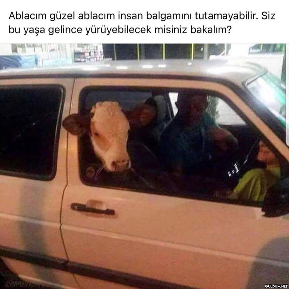 Ablacım güzel ablacım...