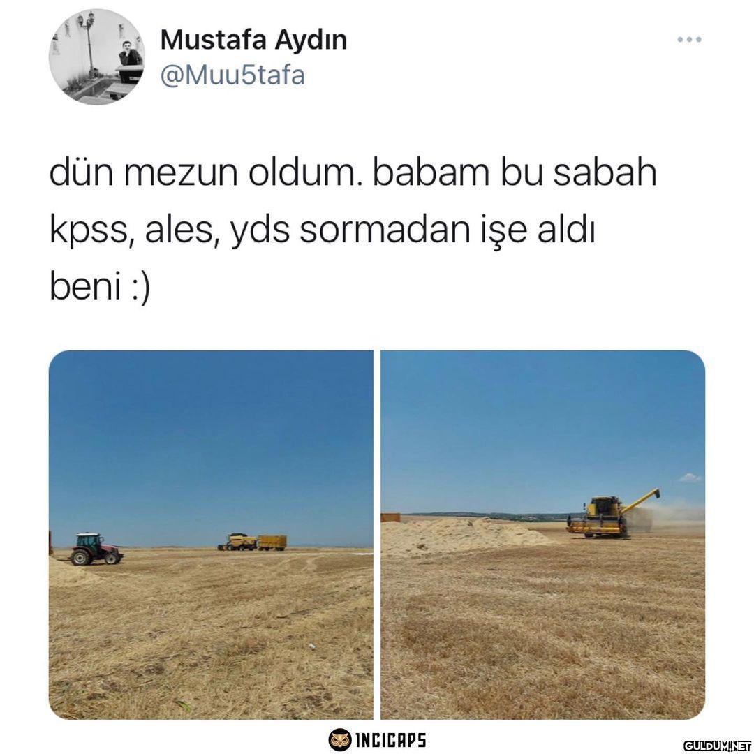 Mustafa Aydın ......