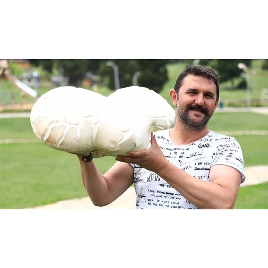 Düşündüğünüz gibi değil,...