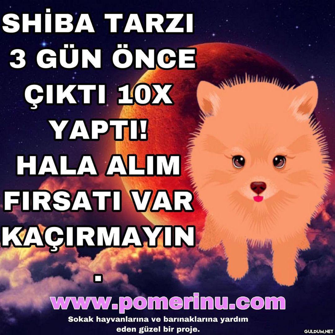 $POMER İNU BEP-20...