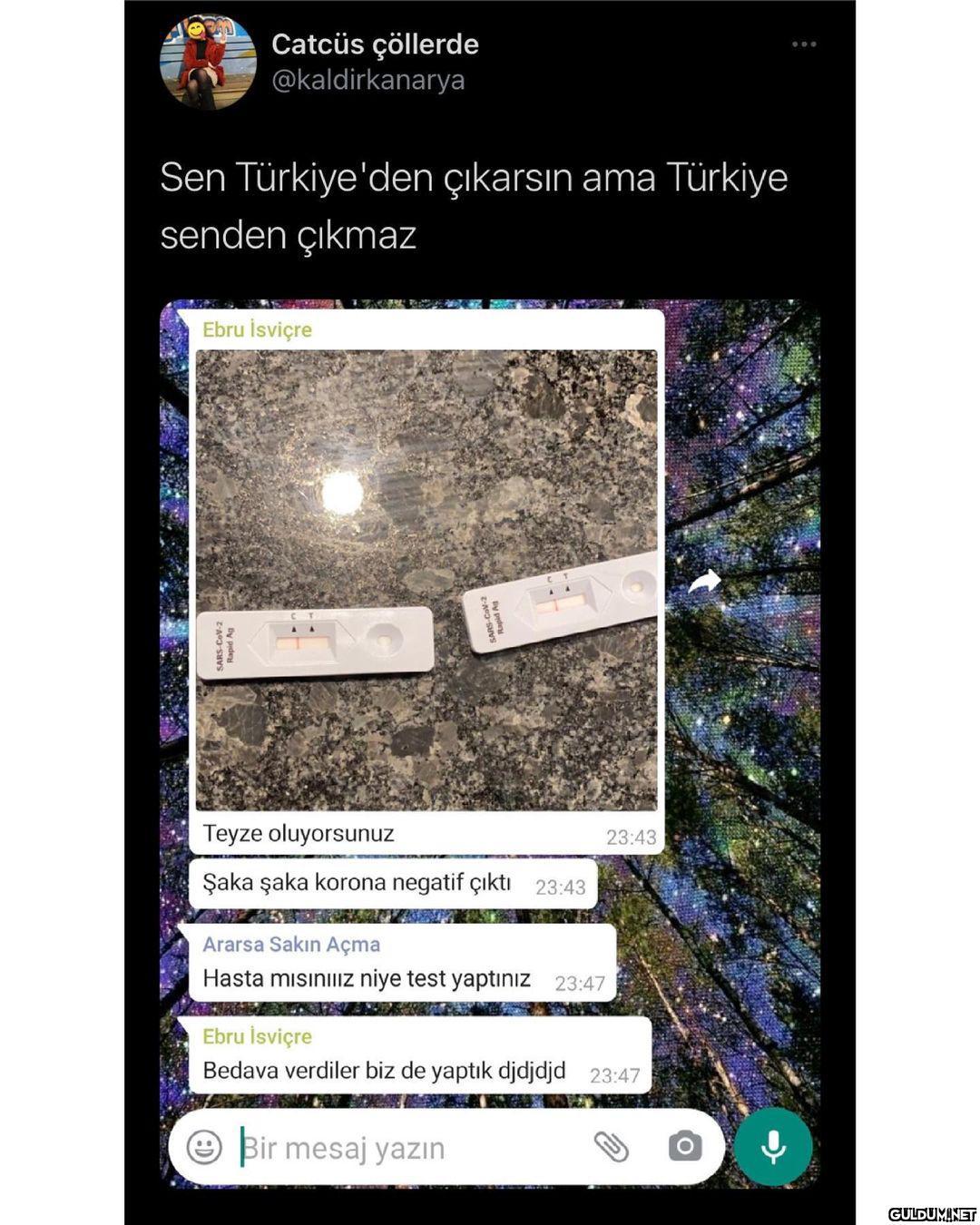 Catcüs çöllerde...