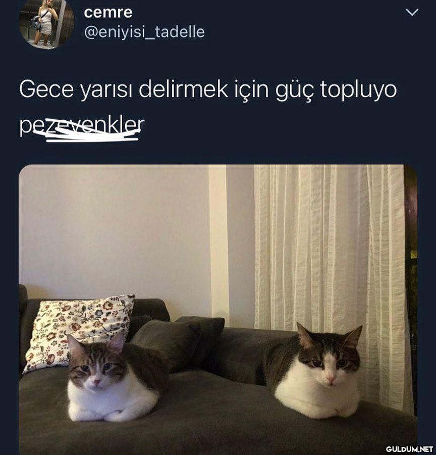 uzaylılar  cemre...