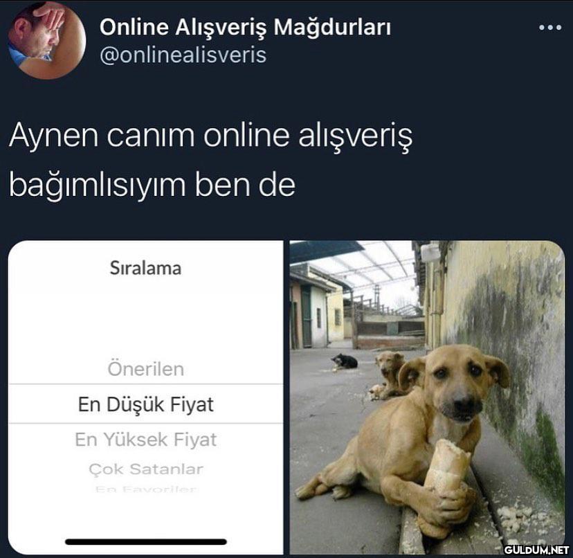 Online Alışveriş...
