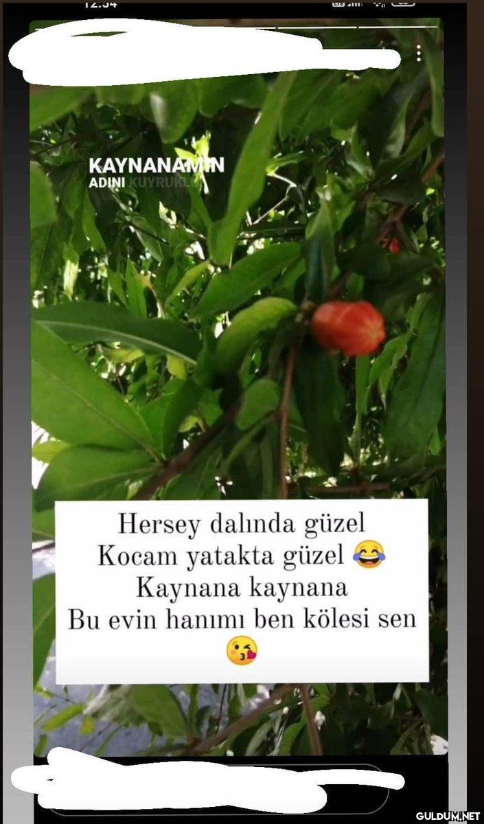 Kaynana kudurtan...