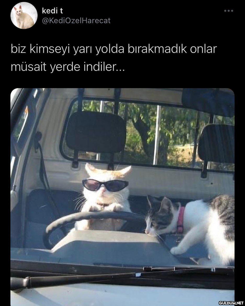 aynn oyle.. iyi geceler ...