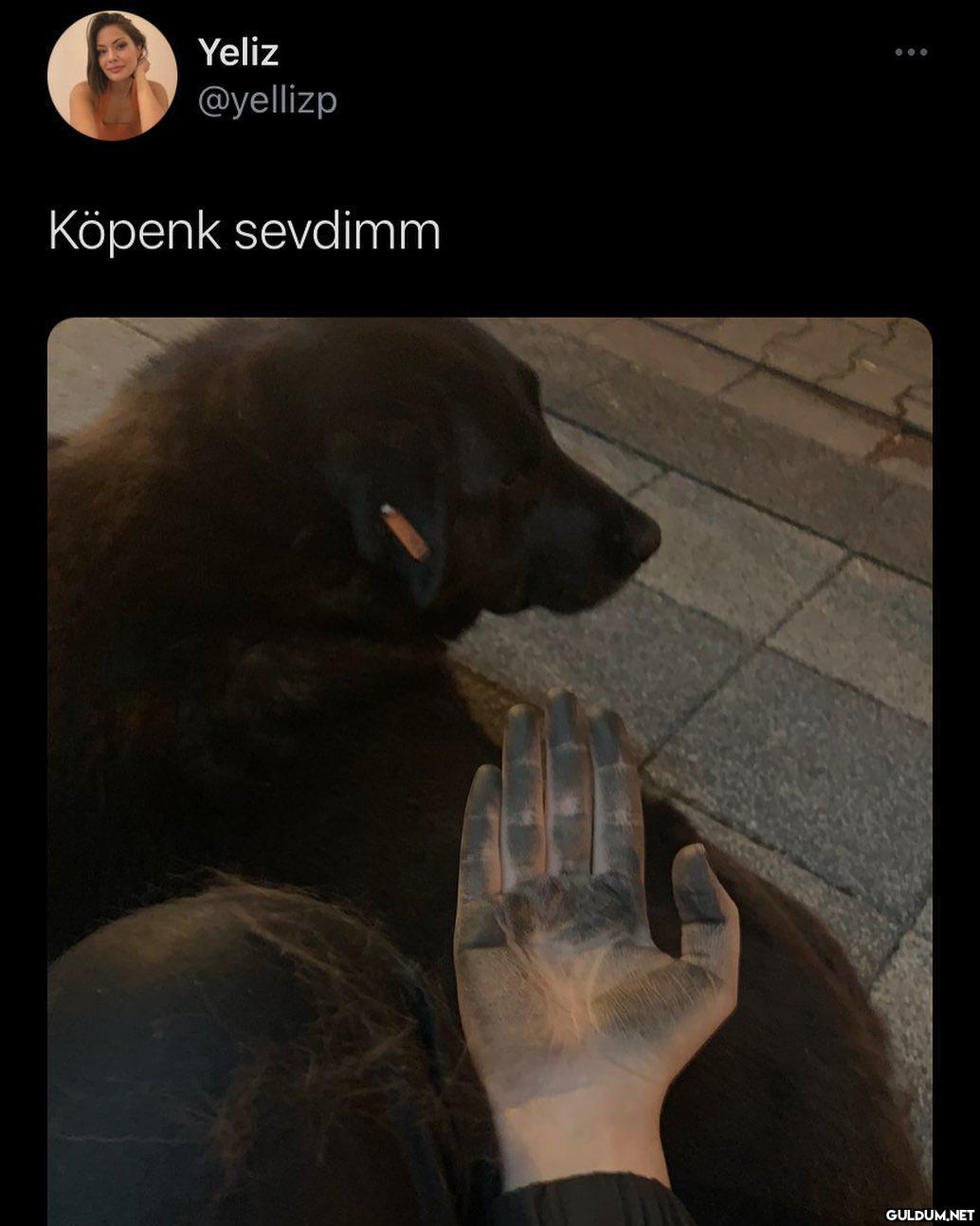 Köpüş aslında beyaz ama...