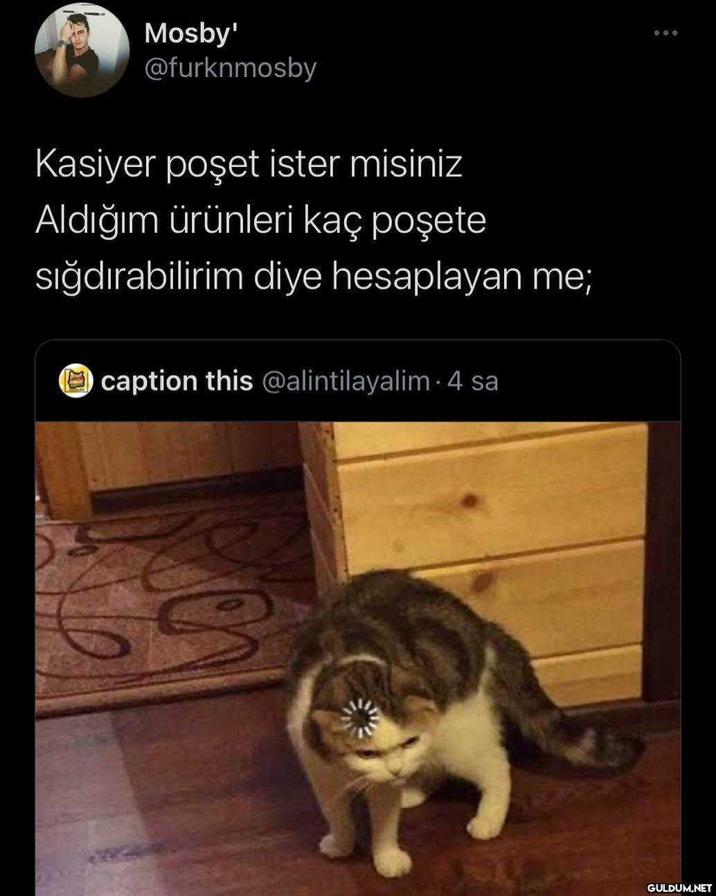 Mosby' @furknmosby Kasiyer...