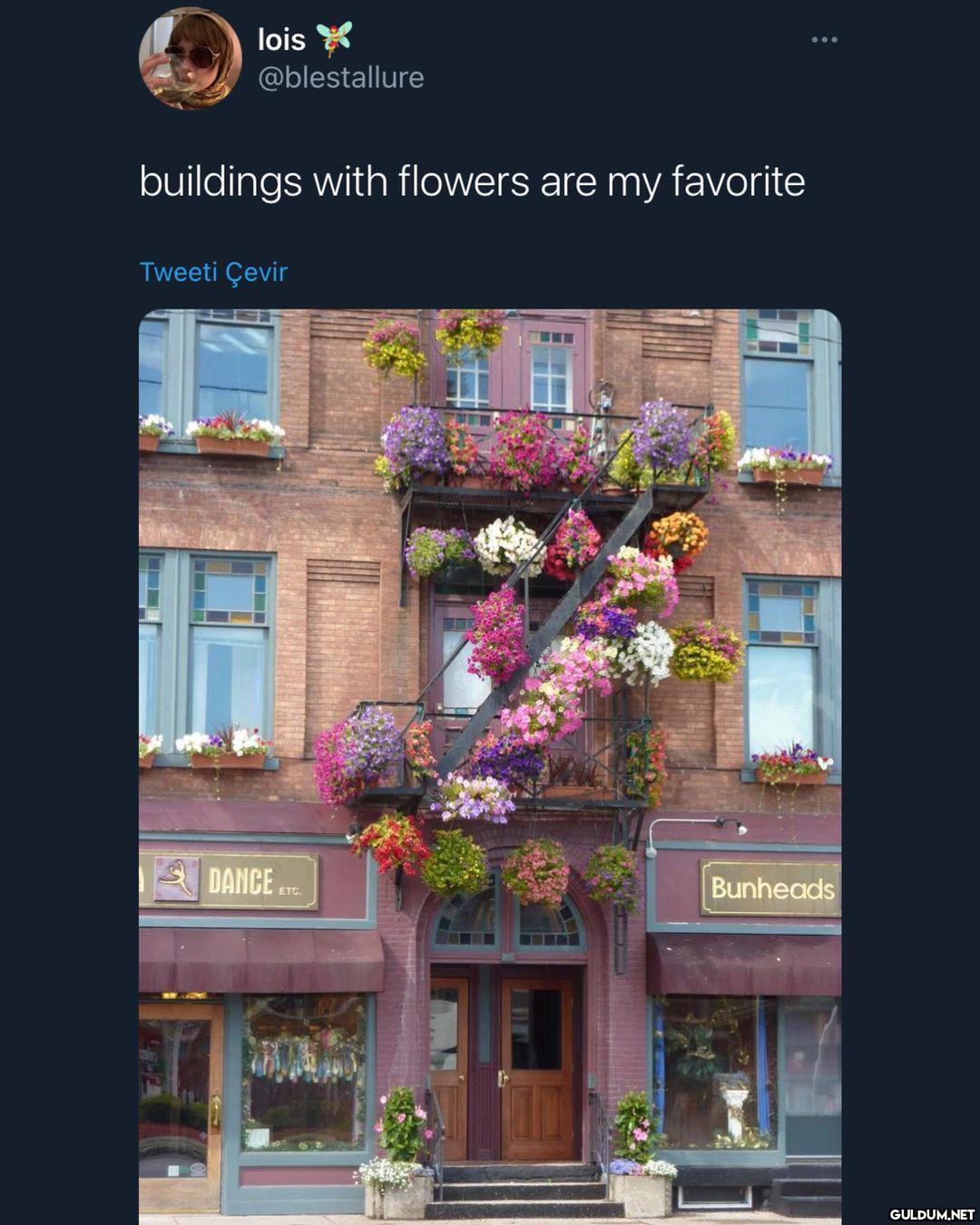 şu güzelliğe bak..  lois...
