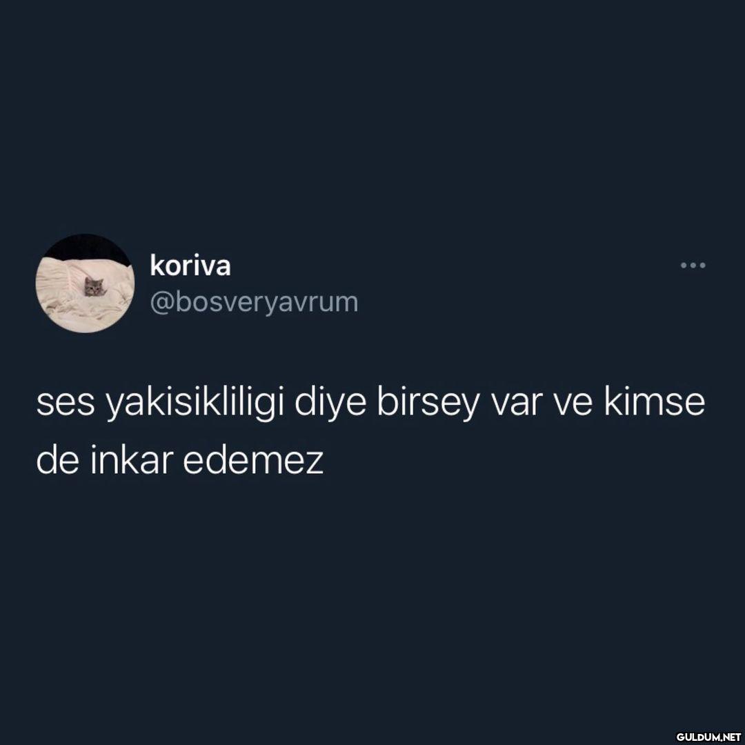 koriva 0.. @bosveryavrum...