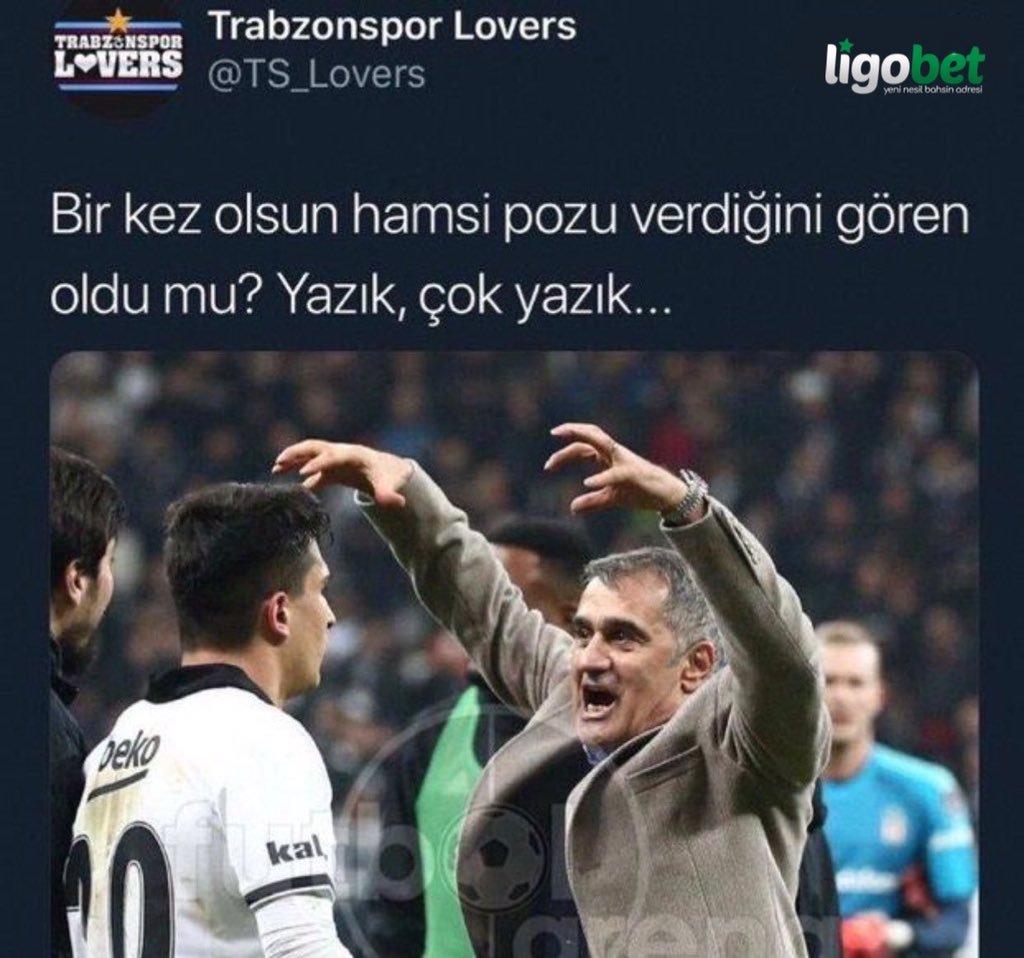 SHSHSHSHSHSHSJSJSJS   ...
