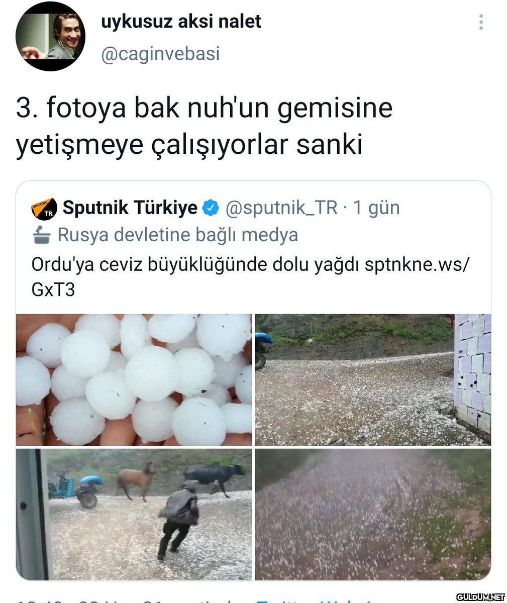 uykusuz aksi nalet...
