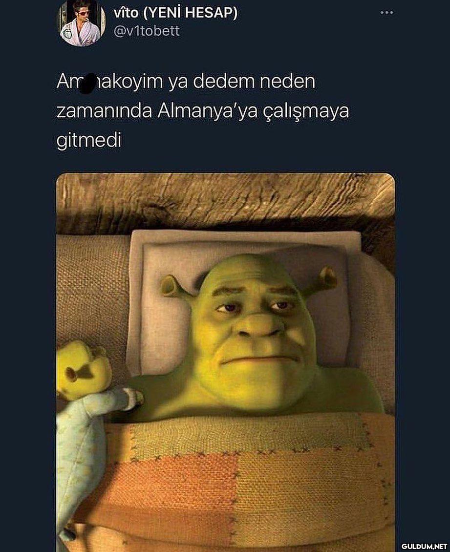her gece bn  vîto (YENİ...