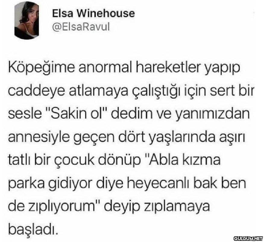 Elsa Winehouse @ElsaRavul...