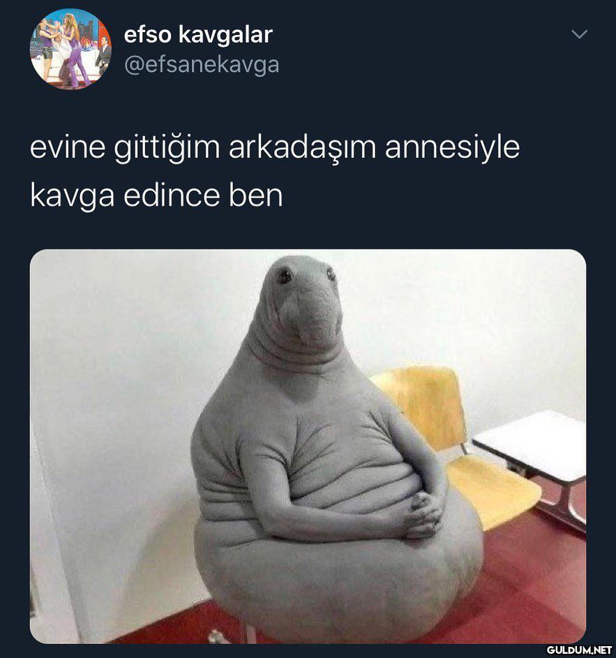 efso kavgalar @efsanekavga...
