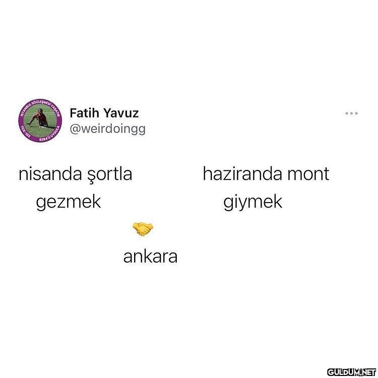 Fatih Yavuz @weirdoingg...