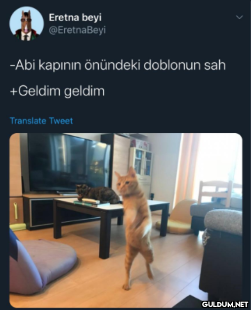 Eretna beyi @EretnaBeyi...