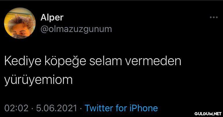 Alper @olmazuzgunum Kediye...