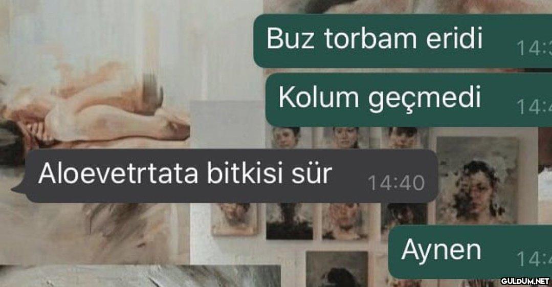 necektinaloevera...    Buz...