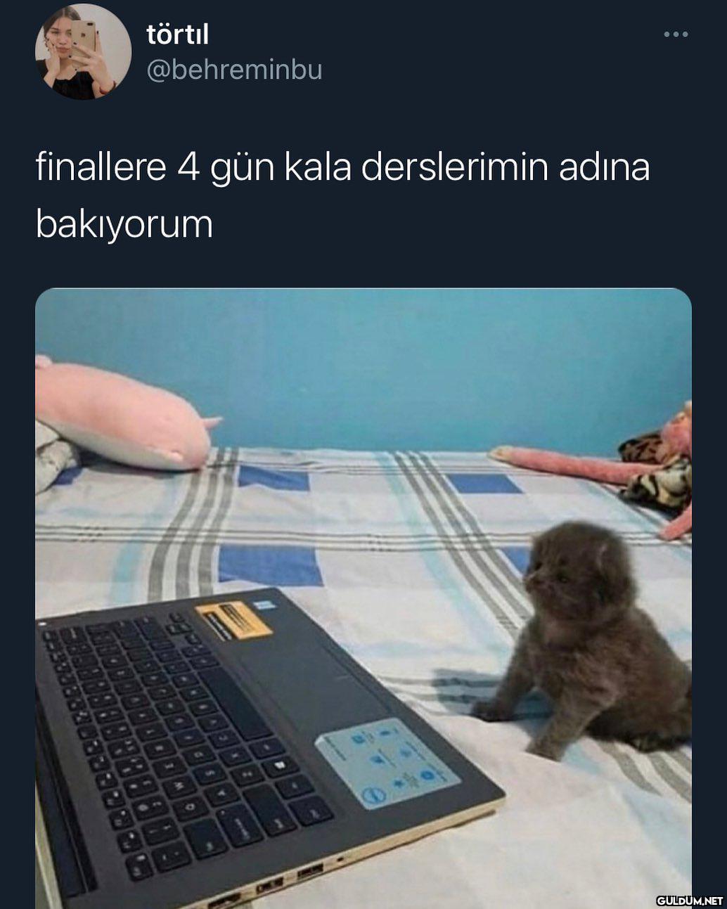 törtıl @behreminbu ......