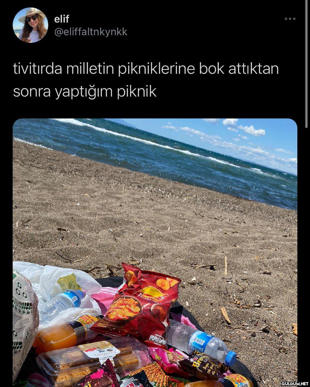 1 kilo erik götürmüş...
