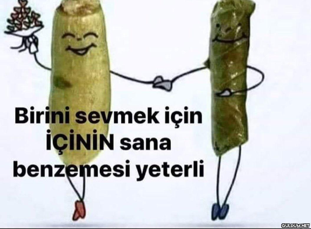 Birini sevmek için İÇİNİN...