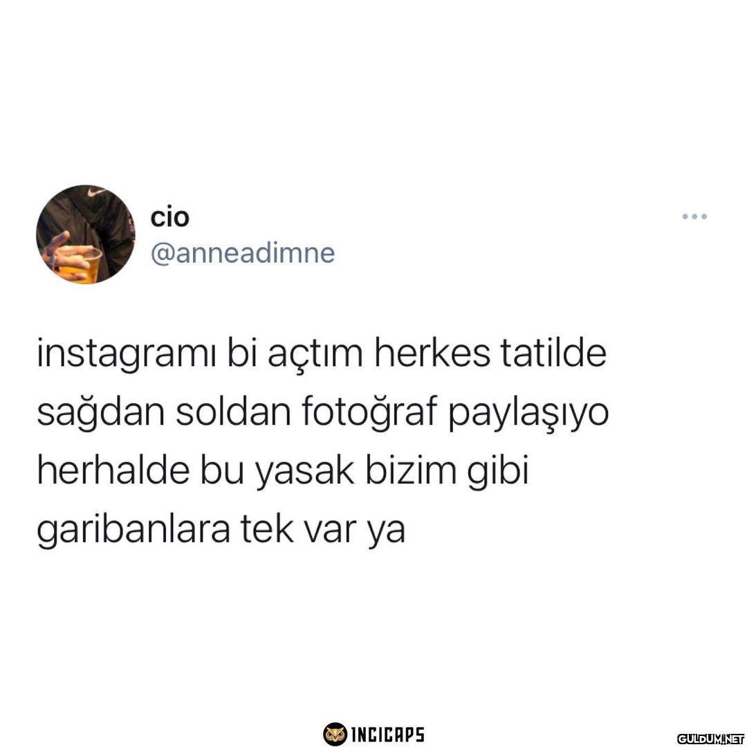 cio ... @anneadimne...