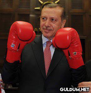 saray önüne gel    Kaynak