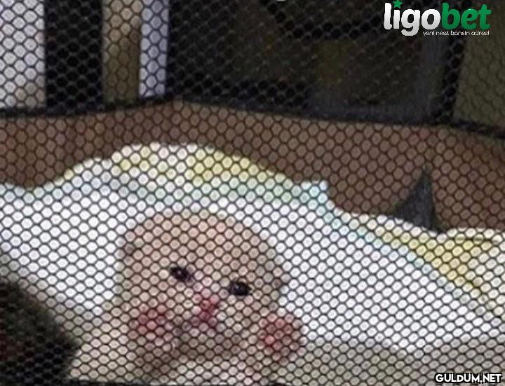 + bir dakikan var mı?
-...