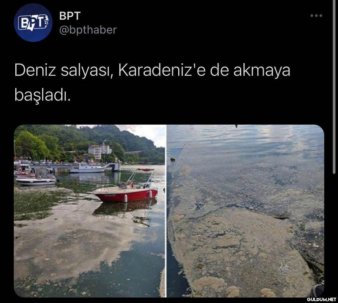 Cidden çok üzücü bir durum...