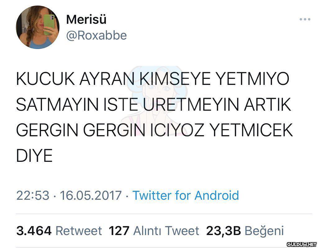 Merisü ... @Roxabbe KUCUK...