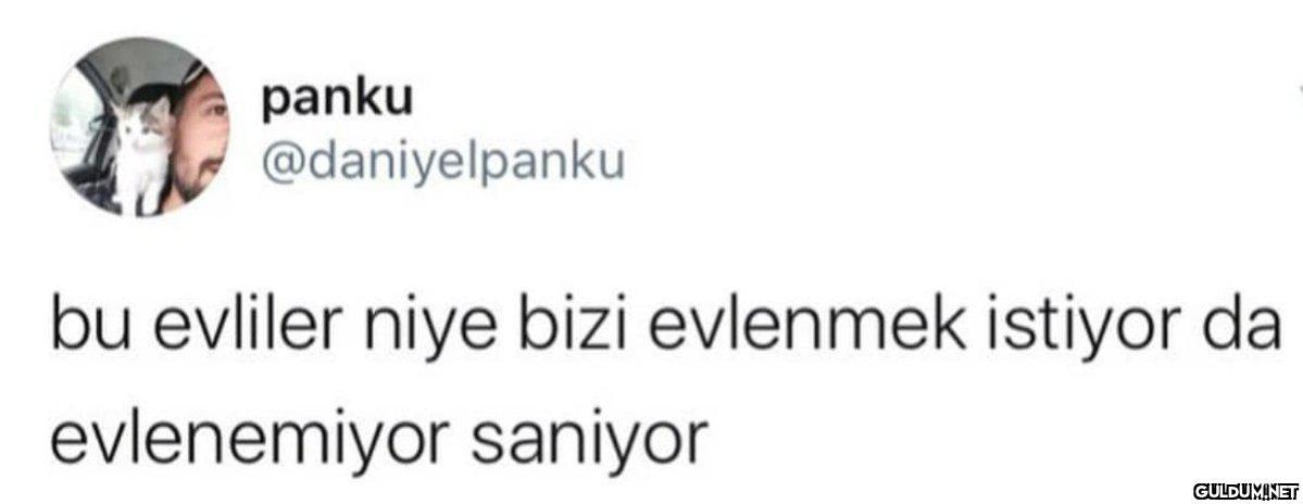 panku @daniyelpanku bu...