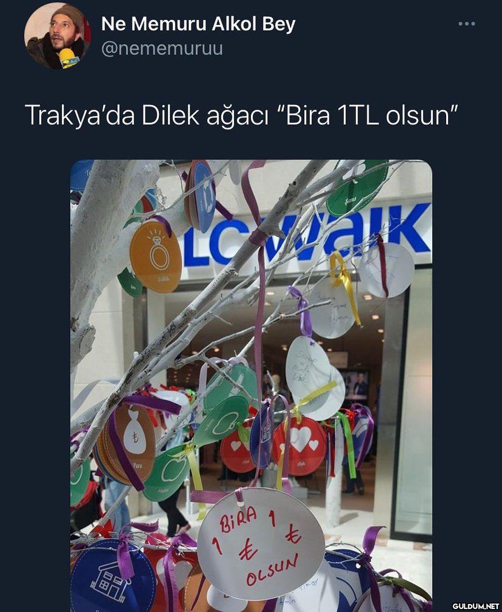 böylesi imkansız bir...
