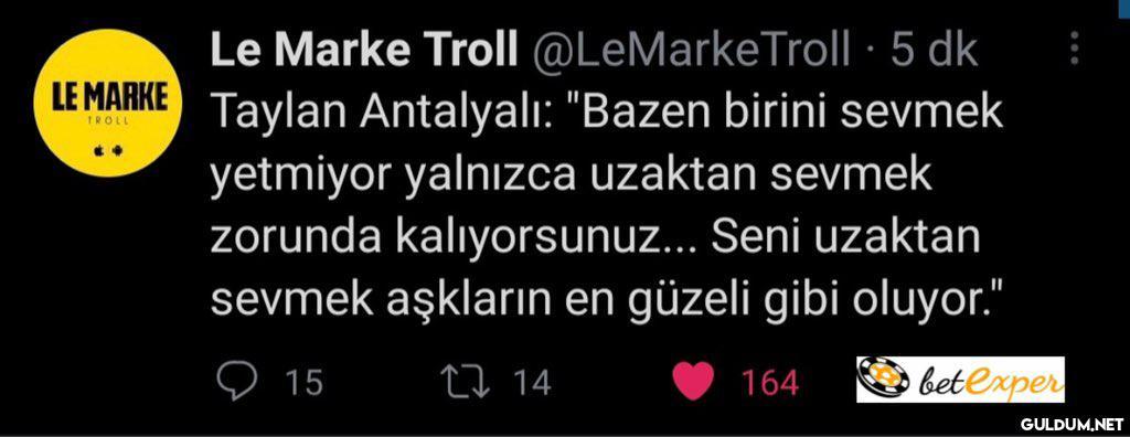 https://t.co/e2qWG3kw1h ...