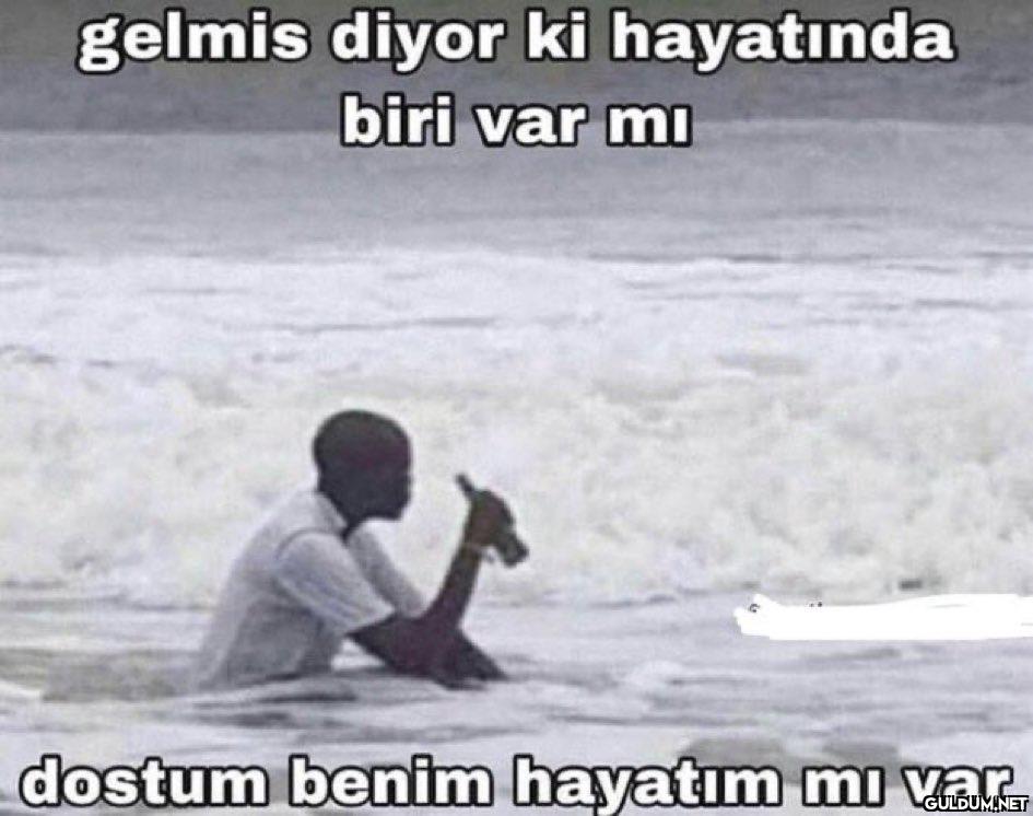 https://t.co/97YcTJlUnb ...